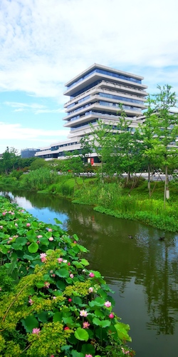 29fd920ce9da3462aa732ca195eeecb7